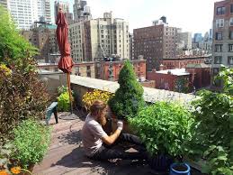 Nyc Manhattan Rooftop Garden