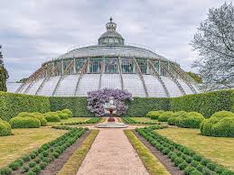 royal greenhouses laeken world wild