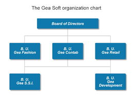 Organizational Software Company Online Charts Collection