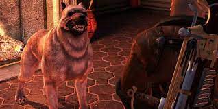 Dragon Age 4 Not Bringing Back Dog Companions Would Be A Mistake