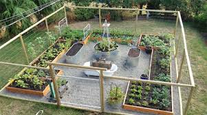 Growing A Vegetable Garden