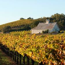 napa valley guide where to stay eat