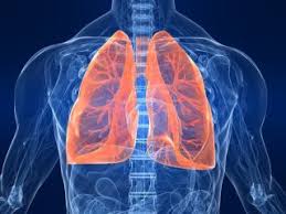 Do Smokers Lungs Heal After They Quit Live Science