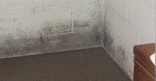 Is It Wise To Finish A Damp Basement