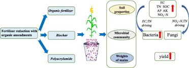 chemical fertilizer reduction with