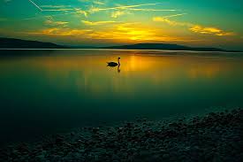 calm sunset goose lake hd wallpaper