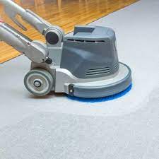 professional carpet cleaning in