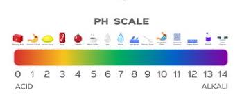 Ph Scale Litmus Paper Color Chart Illustration 80714662