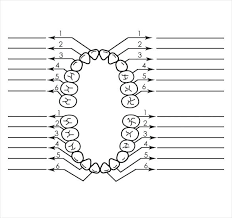 Dental Chart Template Bedowntowndaytona Com