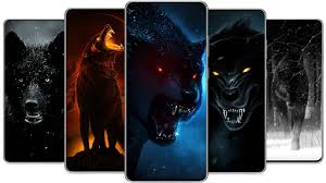 You will definitely choose from a huge number of pictures that option that will . Download Black Wolf Wallpaper 4k Hd Backgrounds Free For Android Black Wolf Wallpaper 4k Hd Backgrounds Apk Download Steprimo Com