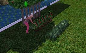 the sims 3 gardener the perfect