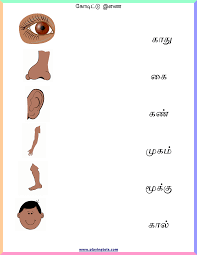 Pin On Tamil Worksheets