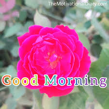 good morning all images in english