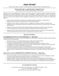 Resume Objective Examples Security  Resume  Ixiplay Free Resume    