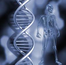 Materia oscura del ADN | Salud | La Revista | EL UNIVERSO