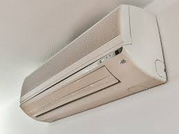 is black mold in air conditioners