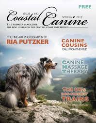 In january 2021 we made the switch to becoming a much more specialized service dog program, changed our name, and filed for 501(c)3 nonprofit status! Coastal Canine Magazine Spring 2019 By Carie Broecker Issuu