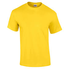 Gildan Ultra Cotton Adult T Shirt