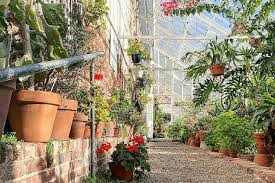 seven indoor gardens and greenhouses to