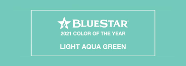 Eco swim™ by aqua green is a sustainable swim company. 2021 Color Of The Year Light Aqua Green Bluestar
