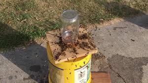 Did you know you could also make a diy bucket feeder for the bees. Homemade Bee Feeders 2017 Youtube