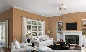 Paint Colors For Living Room 35