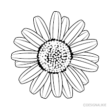 daisy flower black and white clip art