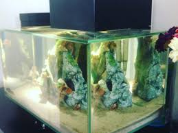 Black or white, large or small, acrylic or glass, there's a modern fish tank design for. Fluval Edge Tank 23 Litres Modern Fish Tank Aquarium With Led Lights For Sale In Athy Kildare From Lzd