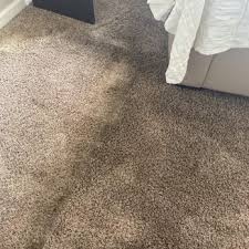 all american carpet cleaning 12