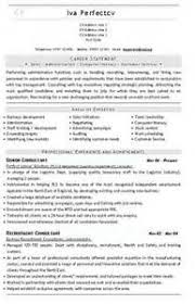 Recruitment Consultant Resume samples Resume Help org