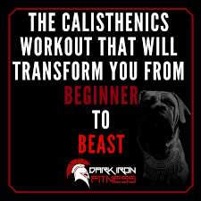 the calisthenics workout that will