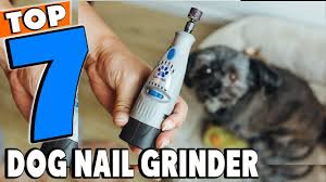 top 5 best dog nail grinders review in