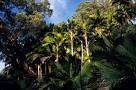 Image result for "   Raoul Island"  Rangitahua  , "New Zealand".  -list of