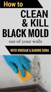 Cleaning Mold Remover