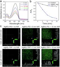 Agbis2 Tpp Nanocomposite For Mitochondrial Targeting