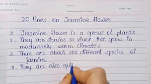 20 lines on jasmine flower in english