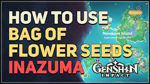 flower seeds genshin impact