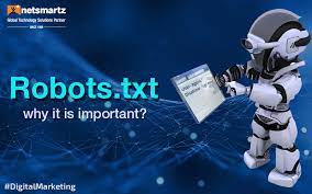 a complete guide on robots txt