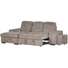 reagan 2pc sectional with pull out bed