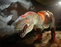 How Did Dinosaurs Go Extinct?