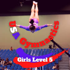 s gymnastics level 5 requirements