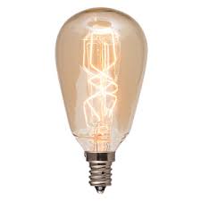 40 Watt Edison Light Bulb