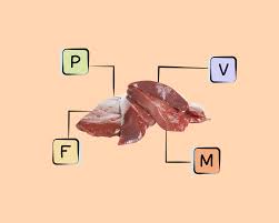 beef liver nutrients