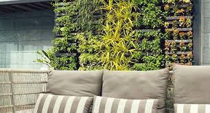 Building A Living Wall