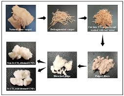 extraction and isolation of cellulose