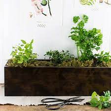 To have a thriving herb garden you will need to place your pots in a window that gets some sun. Diy Garden Box For Herbs The Home Depot