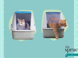 The best automatic litter box is a better litter cleaner than you are. The 8 Best Automatic Litter Boxes Of 2021