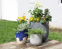 How To Plan And Plant Lush Outdoor Planters