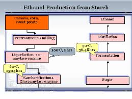 Ethanol Production From Starch Raw Material Sources