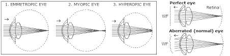 human eye optical properties